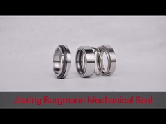 Mechanical Seal factory in China