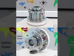 Dry Running Food Grade Agitator mechanical seals