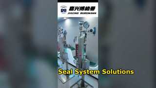 Pressurized barrier fluid system for  mechanical seals