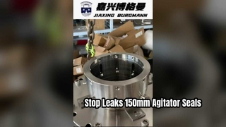 150mm Agitator Mechanical Seal High Performance Solution