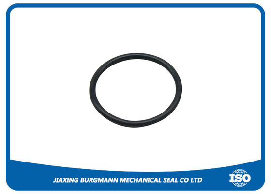 quality Kalrez O Ring Replace 6375 Valve Seal O Ring Chemical Resistance factory
